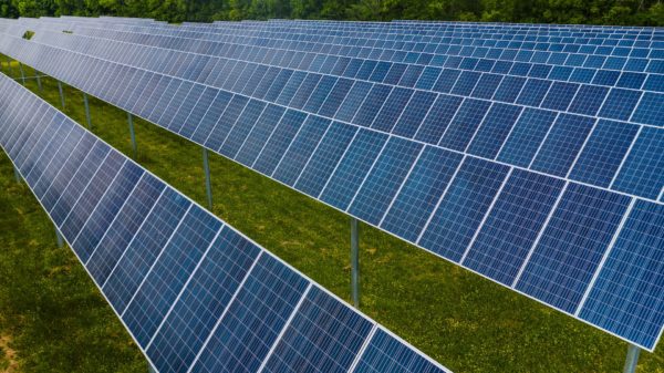 Fachkraft für erneuerbare Energien - Solarpanels
