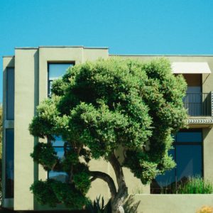 Master Architektur und Umwelt Fernstudium